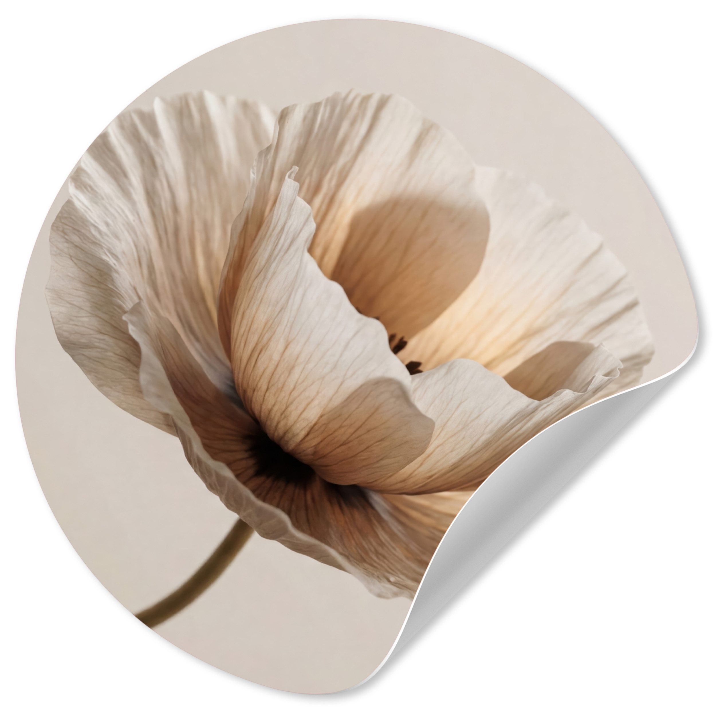 MuchoWow Wandsticker Blume - Beige - Creme (1 St), Wandtattoo Selbstklebend, Wohnzimmer Deko Aufkleber, 30x30 cm