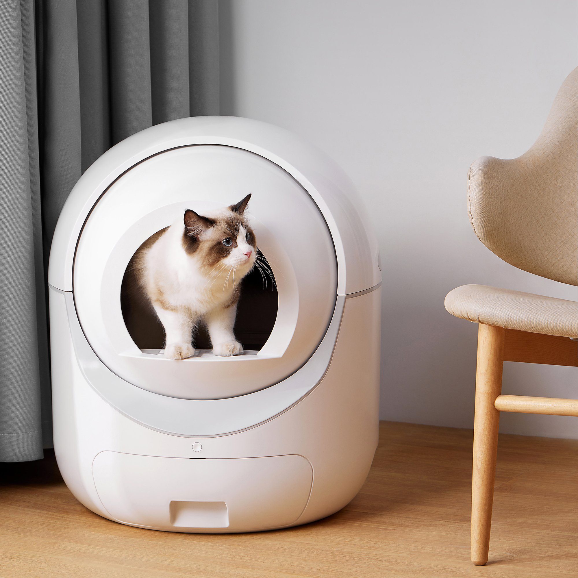 Flieks Katzentoilette sicher/Geruchsbeseitigung/App-Steuerung/Unterstützung  5G&2.4G WiFi, Selbstreinigende Katzentoilette für Katzen 1kg-29kg