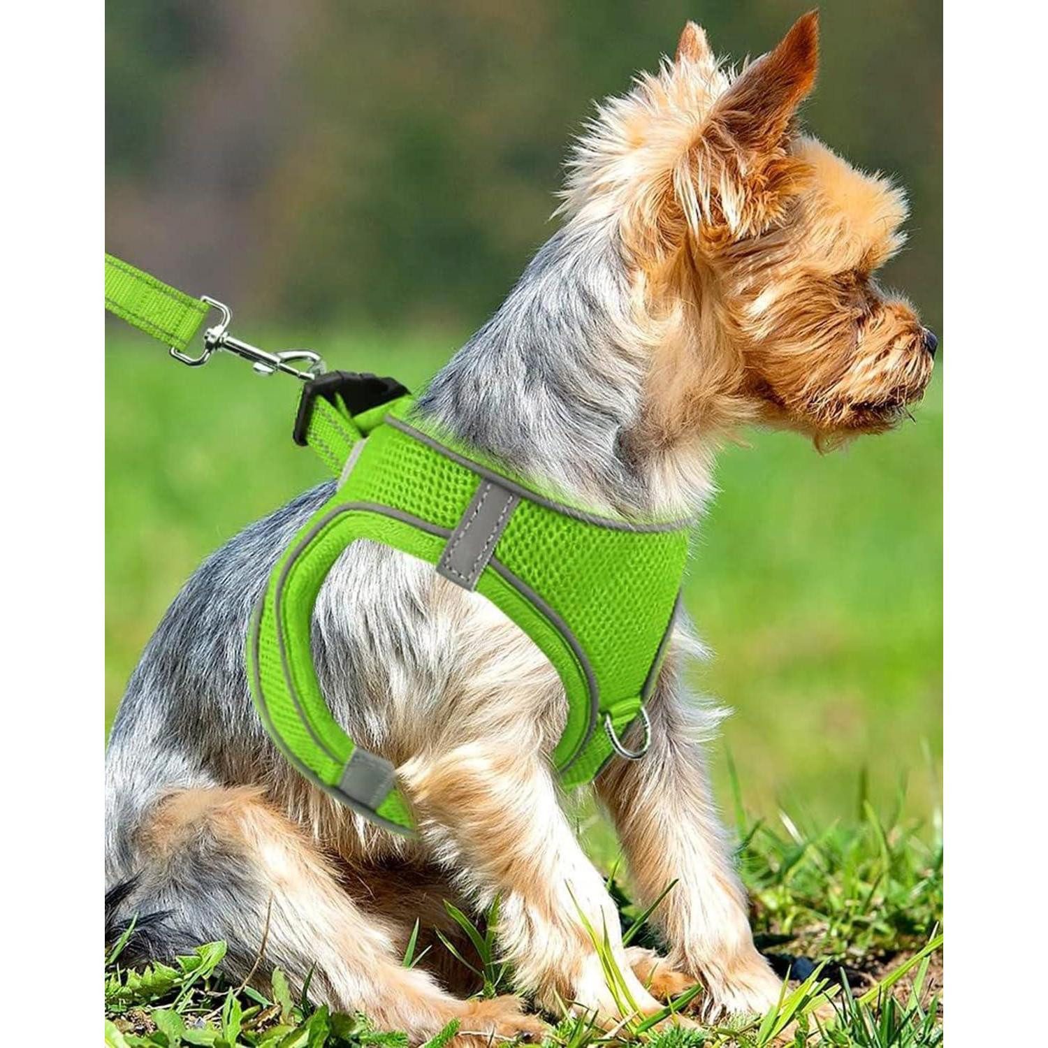 LuxusKollektion Hunde-Geschirr Hundegeschirr Brustgeschirr Reflektierend S-Brust:38-42cm Grün