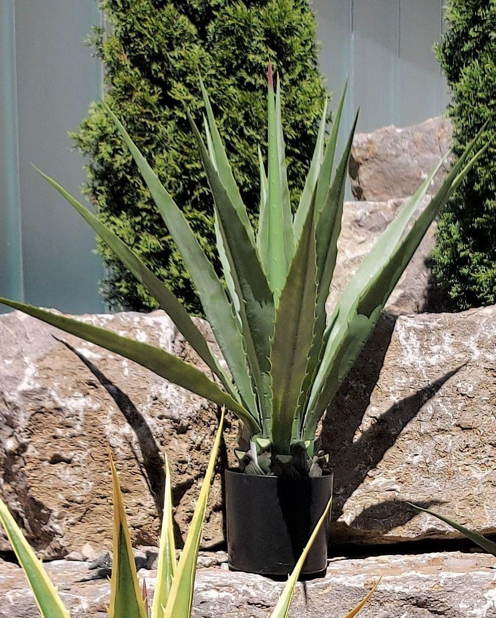 Kunstpflanze Künstliche Agave furcraea gigantea Cherie, grün-grau, 100cm Agave (Agave gigantea), artplants, Höhe 100.0 cm