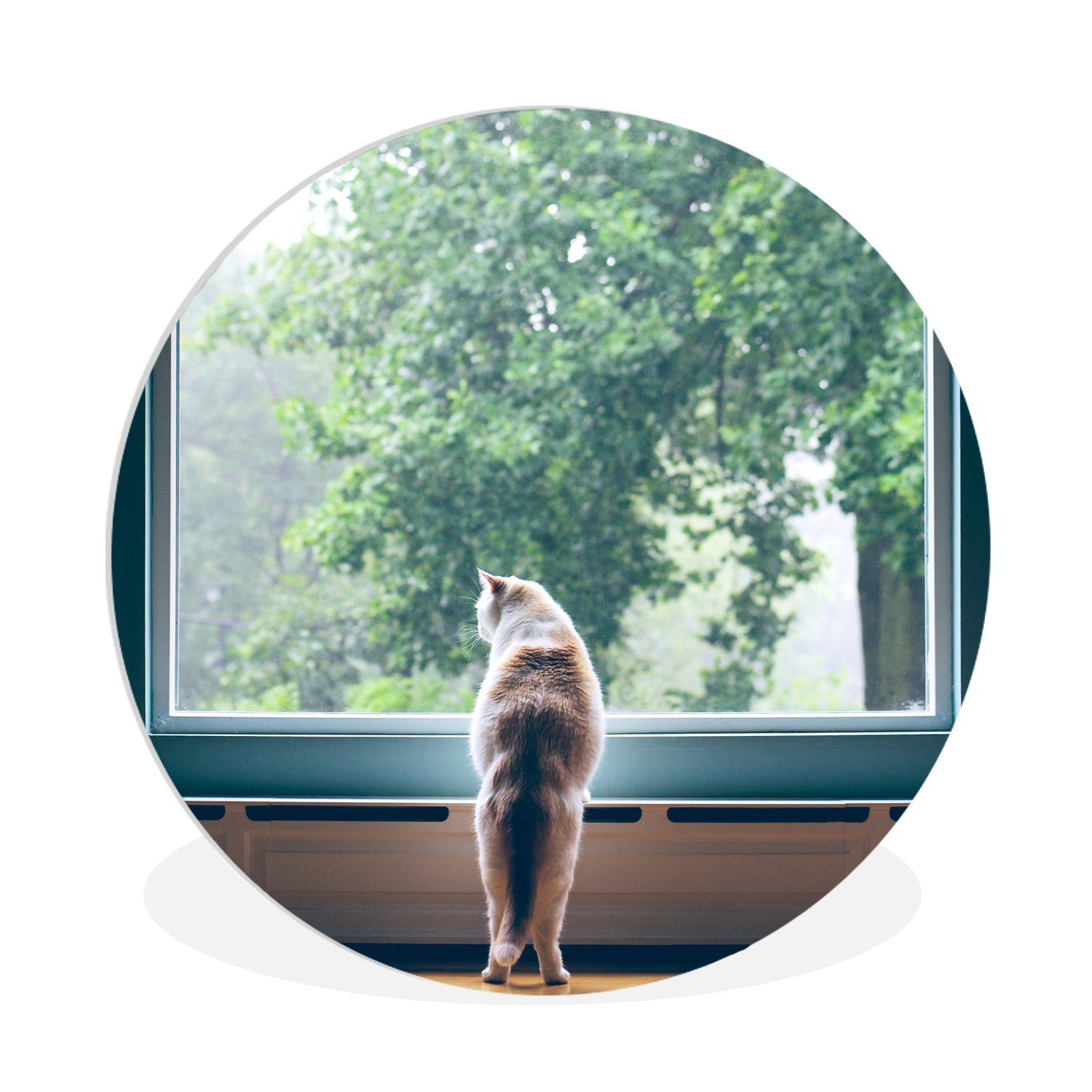 MuchoWow Gemälde Katze - Fenster - Pflanzen, Fotodruck (1 St), Rundes wandbild für Wohnzimmer, Wandkreis, 90x90 cm