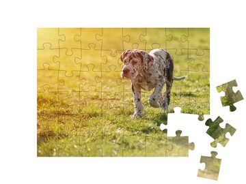 puzzleYOU Puzzle Welpe: Deutsche Dogge auf dem Rasen, 48 Puzzleteile, puzzleYOU-Kollektionen Doggen