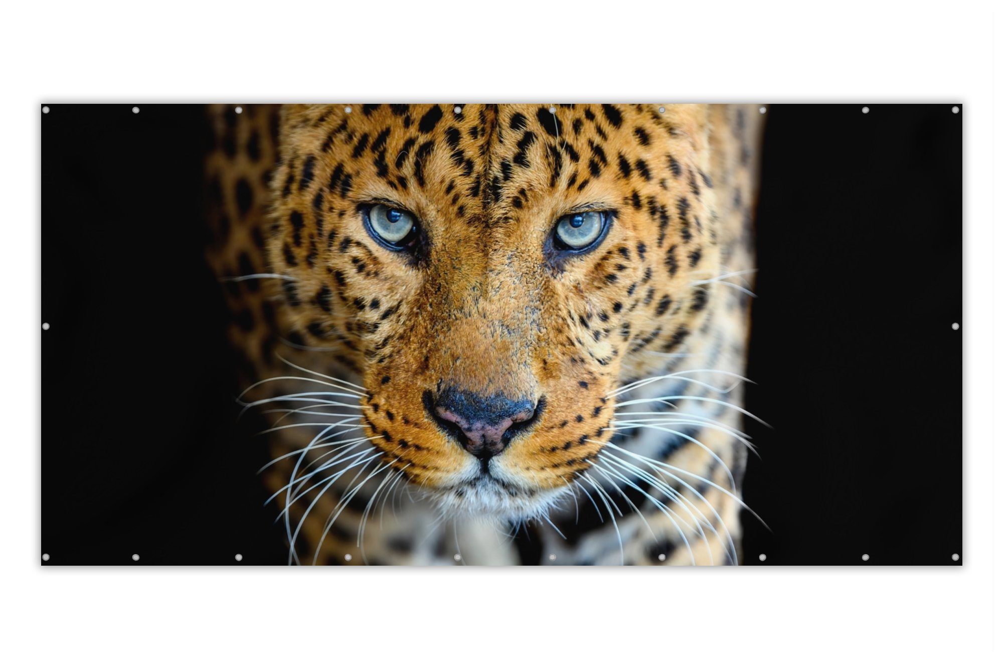 MuchoWow Balkonsichtschutz Leopard - Tiere - Porträt - Wildtiere - Schwarz (1-St) Balkonbespannung mit Metalösen, UV-beständig, Balkonbanner