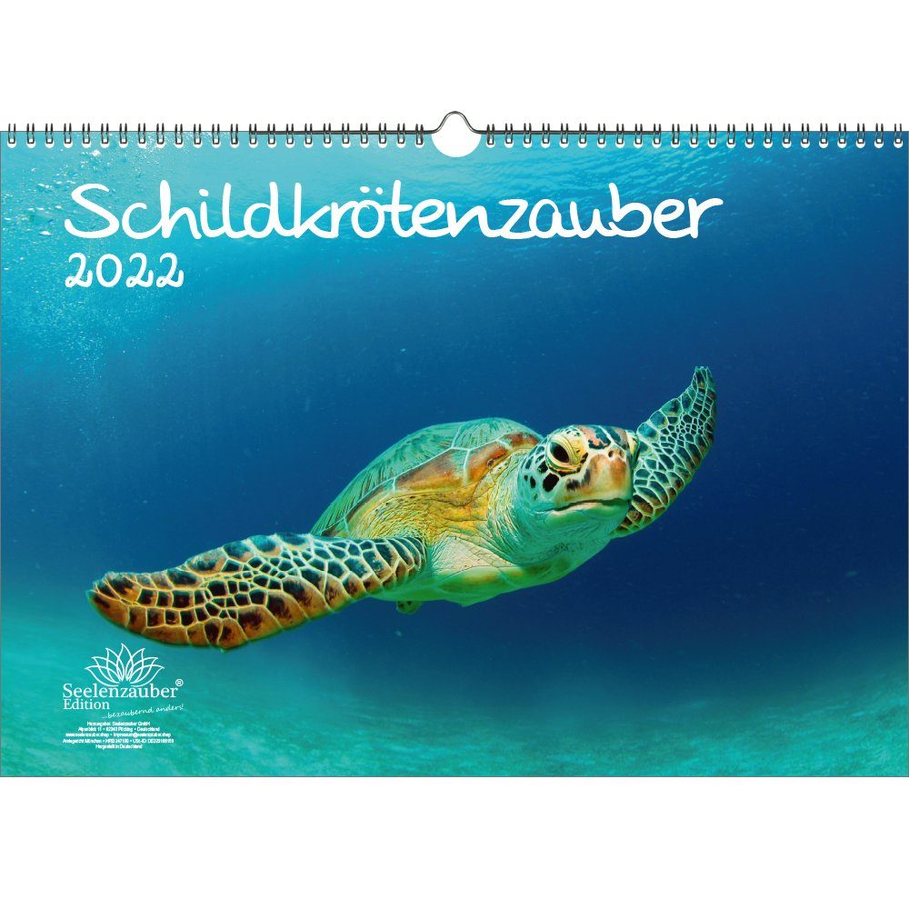 Schildkrötenzauber: Ausmalbilder für Groß und Klein – Entspannung, Kreativität und Spaß!