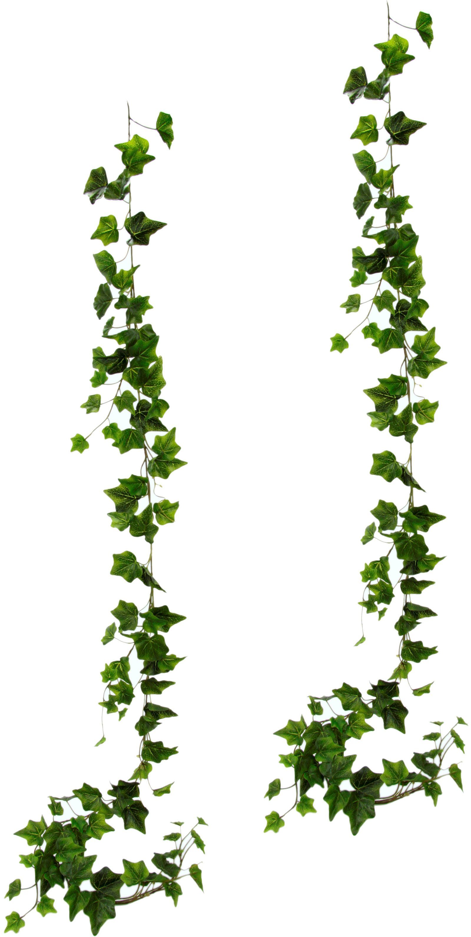 Kunstgirlande Efeuranke, I.GE.A., Höhe 170 cm, 2er Set günstig online kaufen