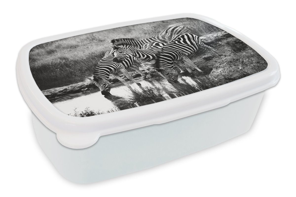MuchoWow Lunchbox Trinkende Zebras, Kunststoff, (2-tlg), Brotbox für Kinder und Erwachsene, Brotdose, für Jungs und Mädchen weiß