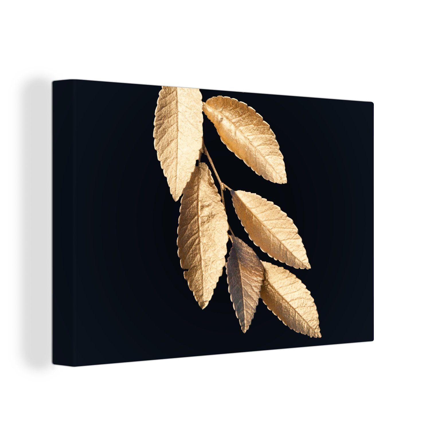 OneMillionCanvasses® Leinwandbild Blätter - Schwarz - günstig online kaufen