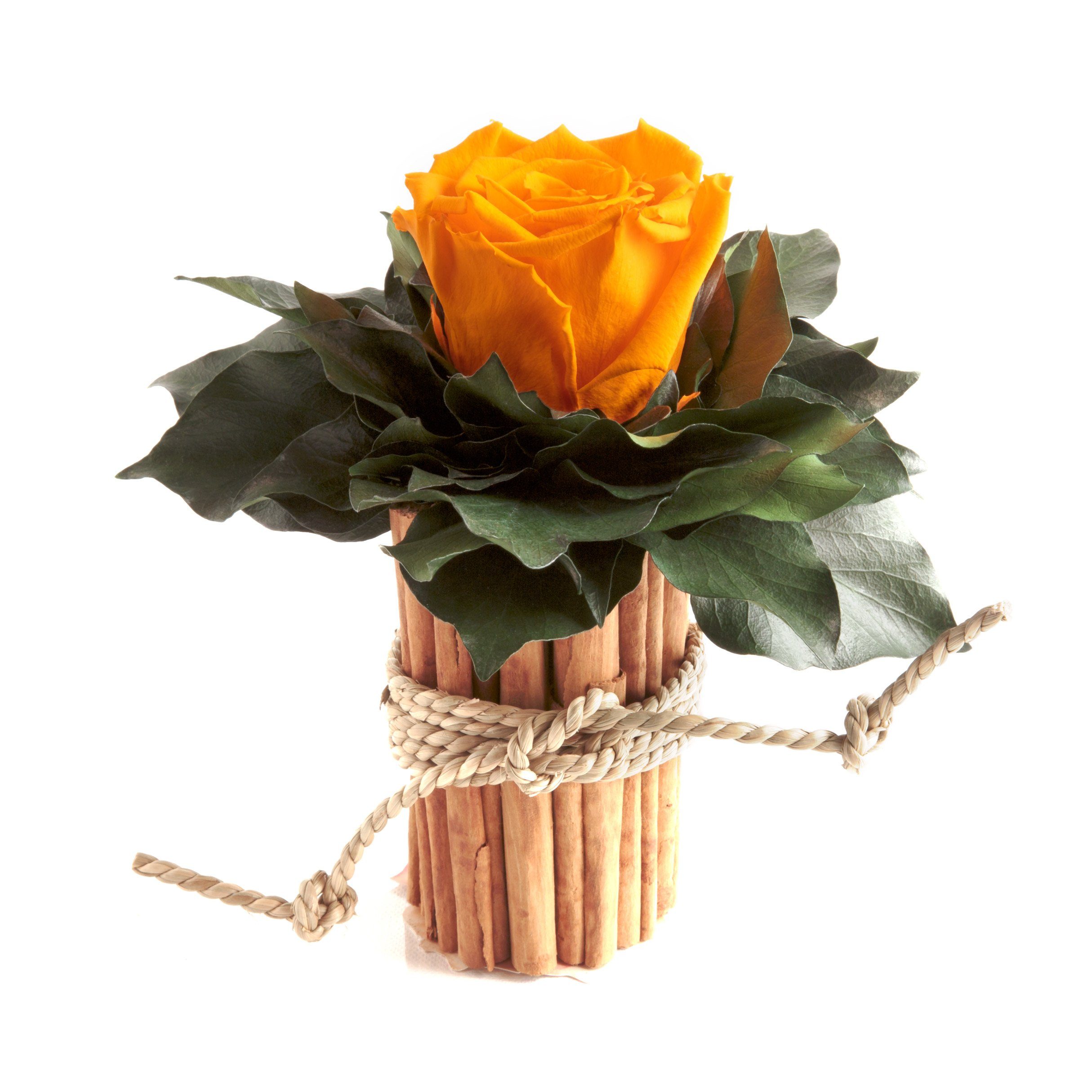 Kunstblumenstrauß Blumenstrauß Zimtbecher Infinity Rosen Blumengesteck, ROSEMARIE SCHULZ Heidelberg, Höhe 15 cm, Infinity Rosen, Made in Germany