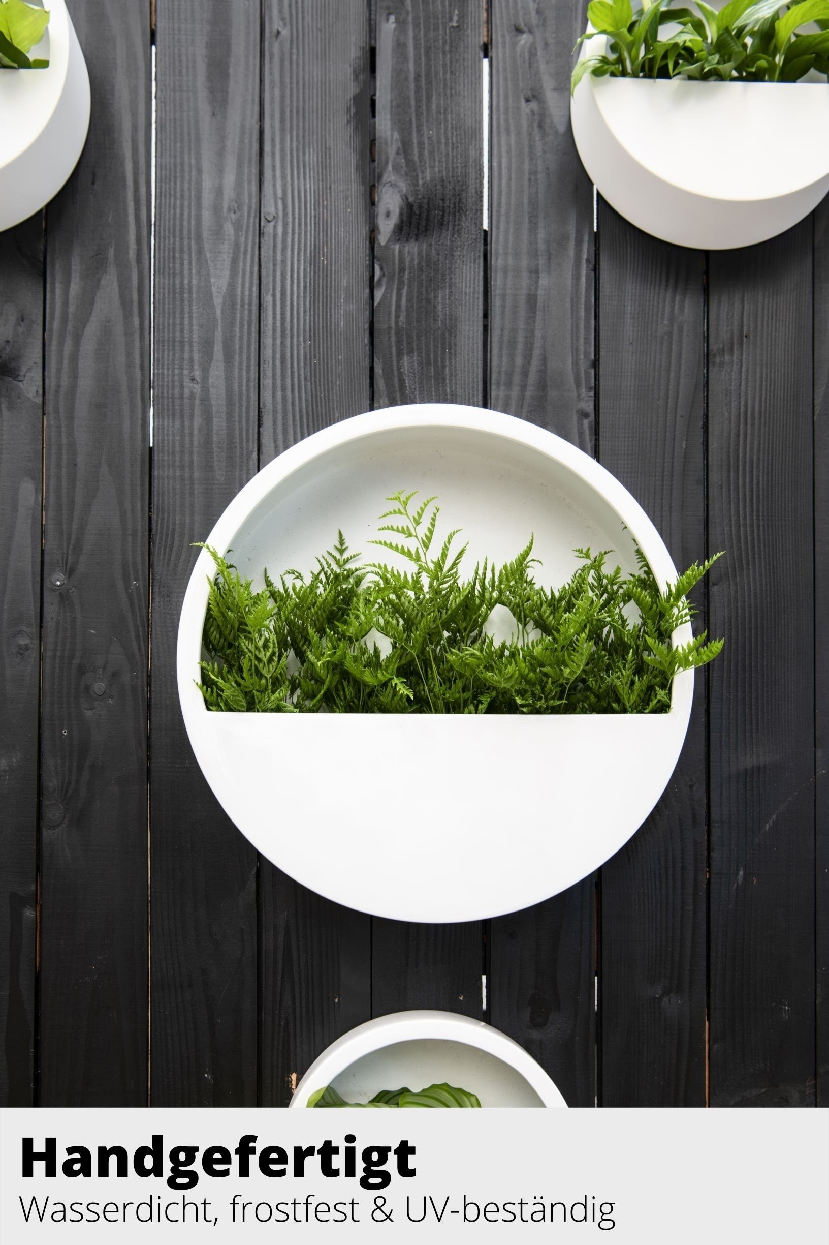 finestgreen Pflanzkübel Hanging Wally Wandgefäß, aus günstig online kaufen