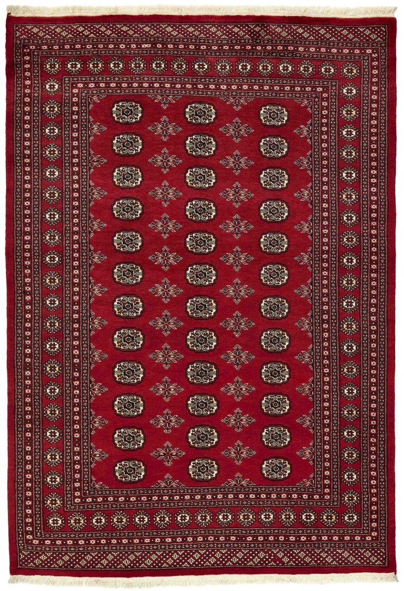 Buchara rechteckig, Handgeknüpfter Nain Orientteppich, mm 172x246 2ply Orientteppich Pakistan 8 Trading, Höhe: