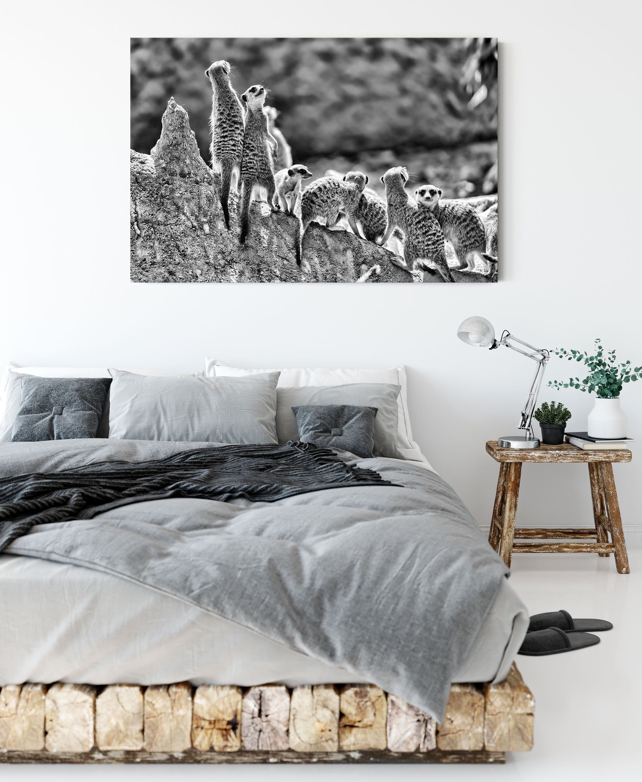 große Leinwandbild Pixxprint bespannt, (1 St), Erdmännchen große Familie inkl. fertig Zackenaufhänger Familie, Erdmännchen Leinwandbild