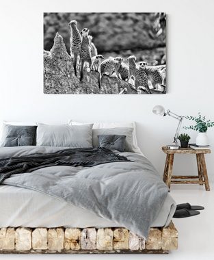 Pixxprint Leinwandbild große Erdmännchen Familie, große Erdmännchen Familie (1 St), Leinwandbild fertig bespannt, inkl. Zackenaufhänger