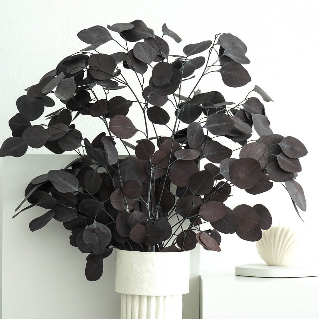 Trockenblume Eukalyptus, LYKKE & You