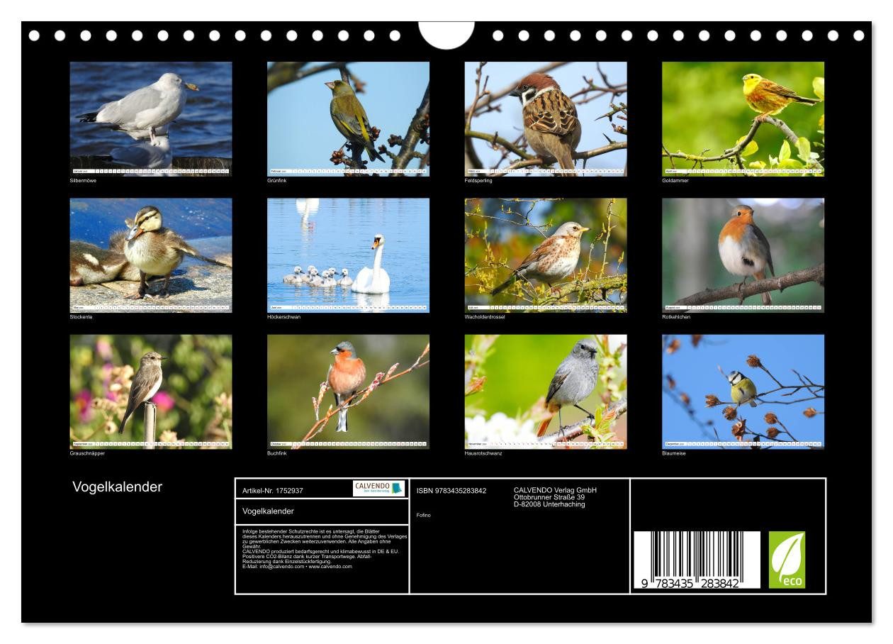 Thumbnail - CALVENDO Wandkalender Vogelkalender (Wandkalender 2025 DIN A4 quer), CALVENDO Monatskalender