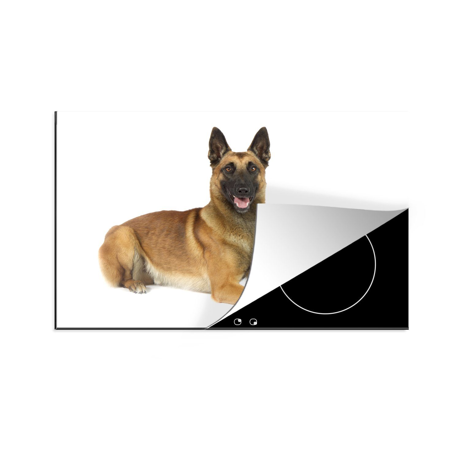 MuchoWow Herdblende-/Abdeckplatte Porträt eines guten Malinois-Schäferhundes, Vinyl, (1 tlg), 81x52 cm, Induktionskochfeld Schutz für die küche, Ceranfeldabdeckung