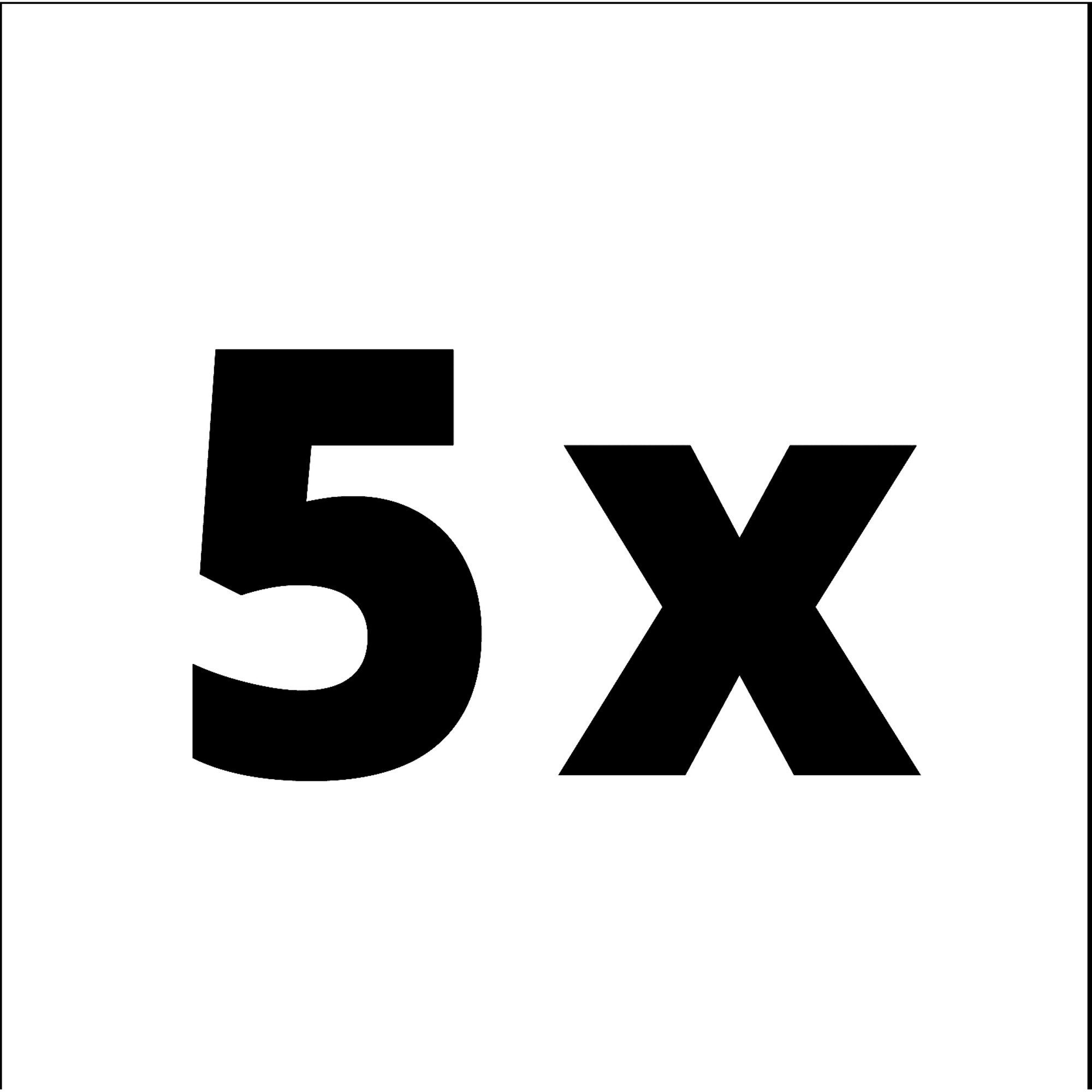 Einhell Saugfilter EINHELL Schaumstofffilter 2351132, 5 Stück