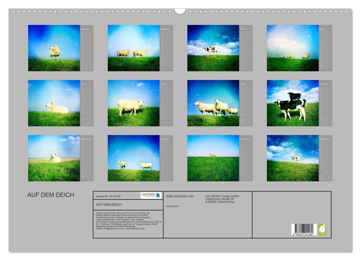 Thumbnail - CALVENDO Wandkalender AUF DEM DEICH (Wandkalender 2026 DIN A2 quer), CALVENDO Monatskalender