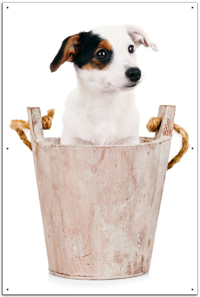 Wallario Sichtschutzzaunmatten Hunde-Welpe Jack Russel Terrier in einem Holzeimer