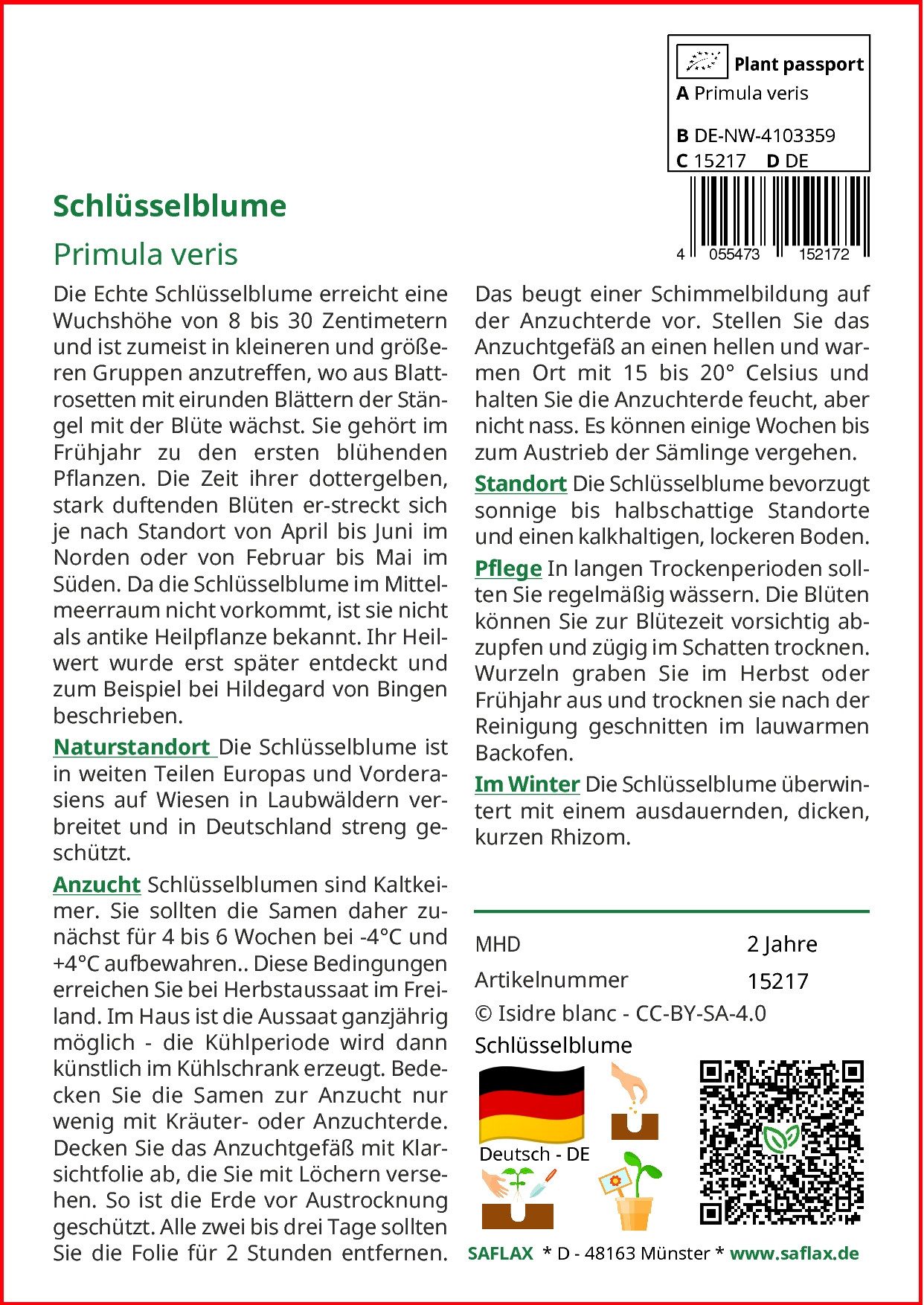 SAFLAX Blumensamen SAFLAX - Samen - Schlüsselblume günstig online kaufen