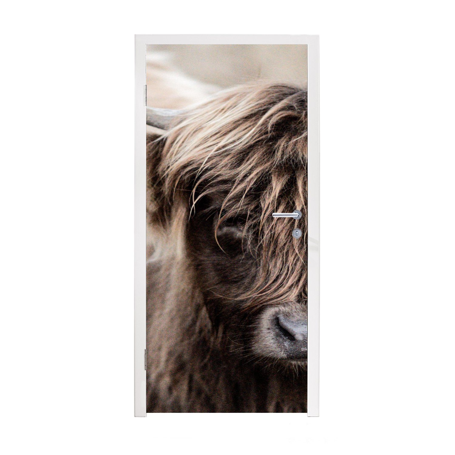 MuchoWow Türtapete Schottischer Highlander - Fell - Tier, Matt, bedruckt, (1 St), Fototapete für Tür, Türaufkleber, 75x205 cm