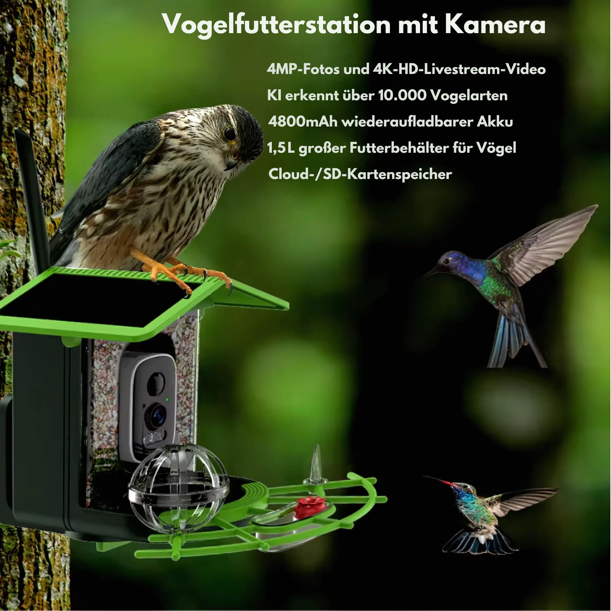 HS.SUPPLY Vogelhaus WLAN-Vogelhaus mit Kamera, KI-Vogelerkennung & Solarpanel