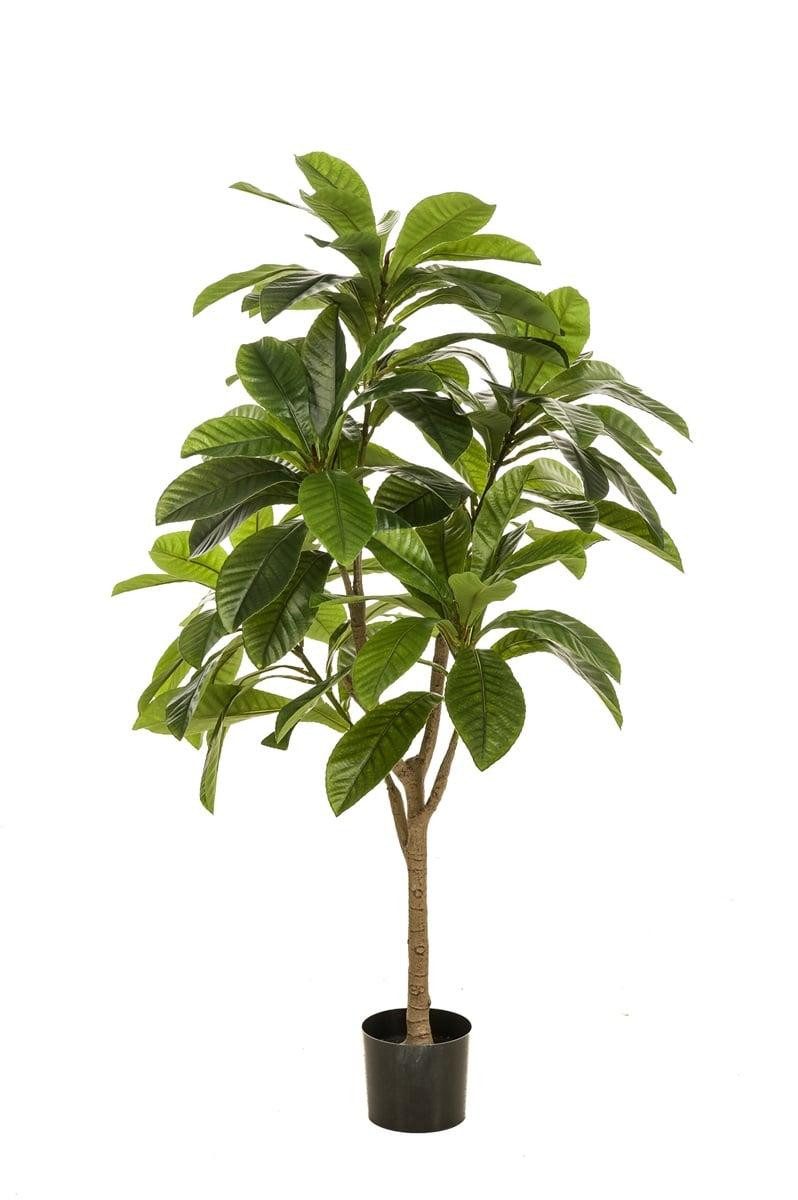 Kunstbaum Künstlicher Baum Frangipani MORSHA, Kunststamm, grün, 145cm Frangipani, artplants, Höhe 145.0 cm