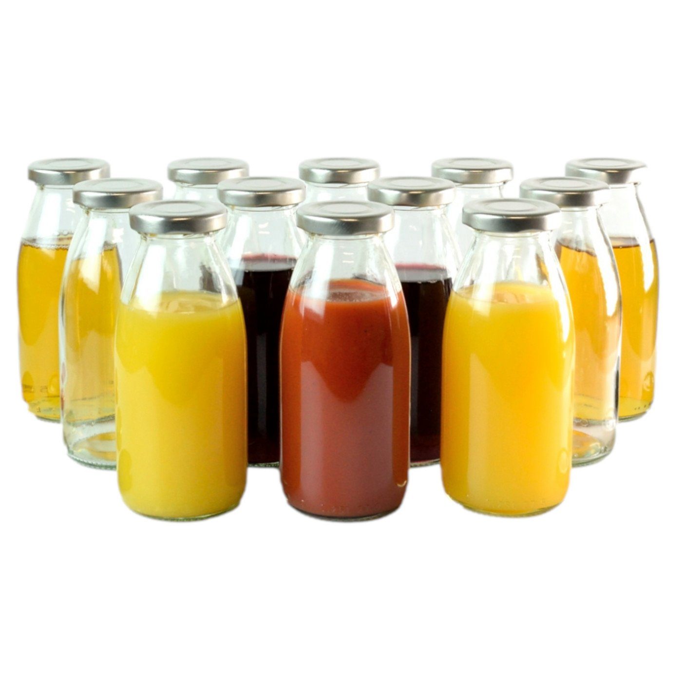 gouveo Trinkflasche Saftflaschen 250 ml mit Schraub-Deckel - Kleine Flasche 0,25 l, 12er Set, silberfarben