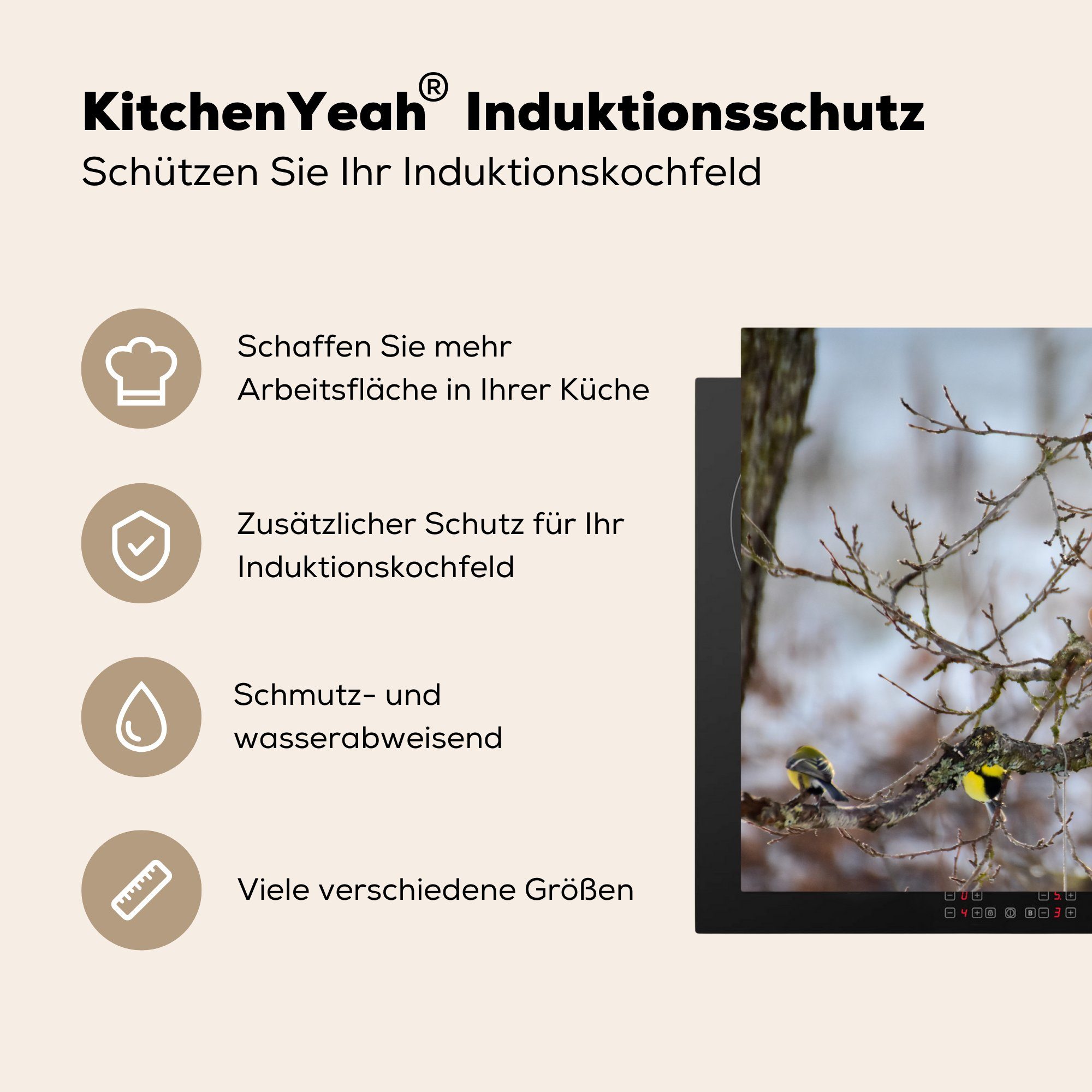 Induktionskochfeld (1 Vinyl, mit Ceranfeldabdeckung Vögeln, die Vogelhaus Herdblende-/Abdeckplatte MuchoWow küche, für tlg), Schutz cm, 81x52