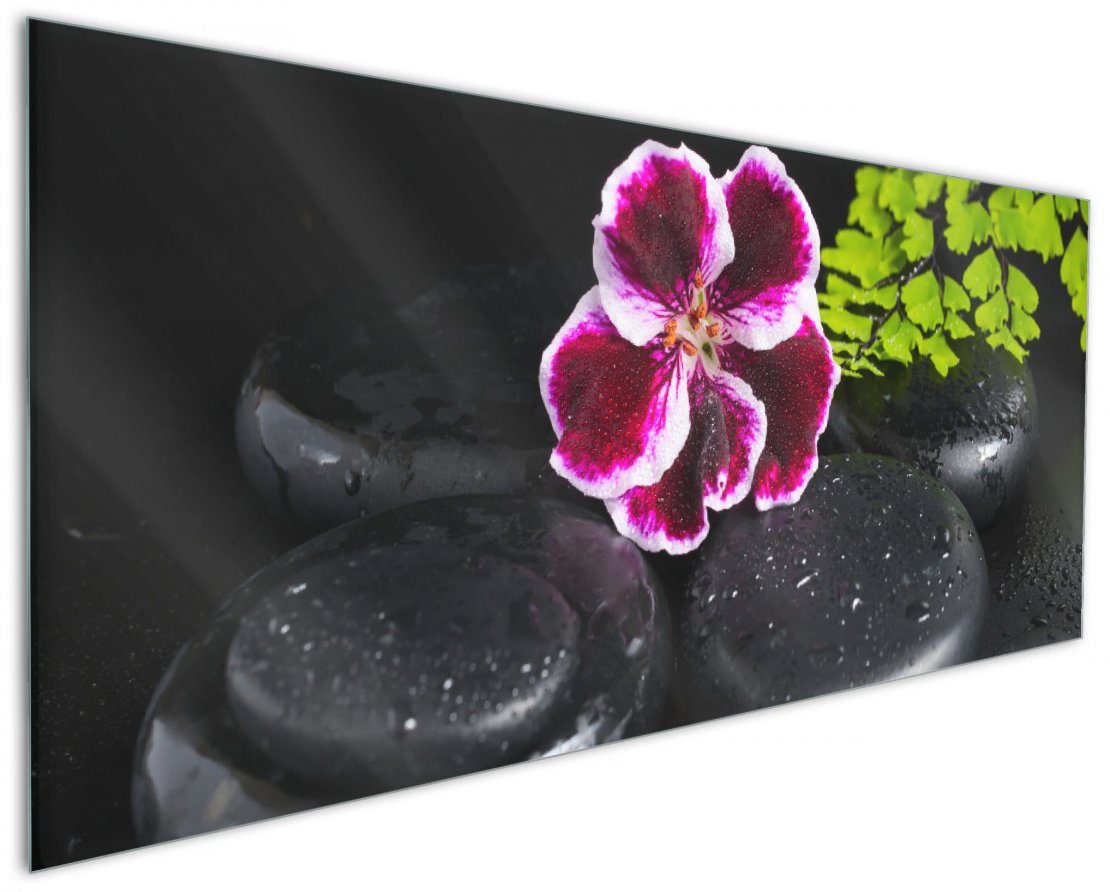 Wallario Küchenrückwand Geranienblüte auf schwarzen Steinen, benetzt mit Wassertropfen, (1-tlg)
