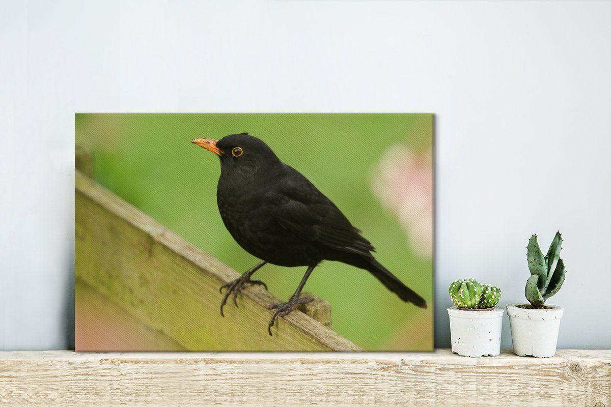 OneMillionCanvasses® Leinwandbild Amsel auf (1 grünen Wanddeko, Leinwandbilder, einem Holzzaun, Aufhängefertig, Wandbild 30x20 St), cm