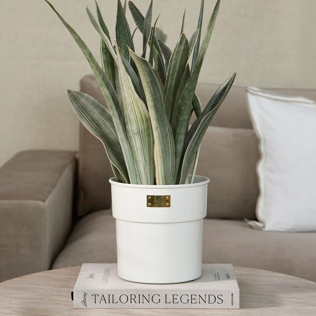 Rivièra Maison Blumentopf Blumentopf RM City günstig online kaufen