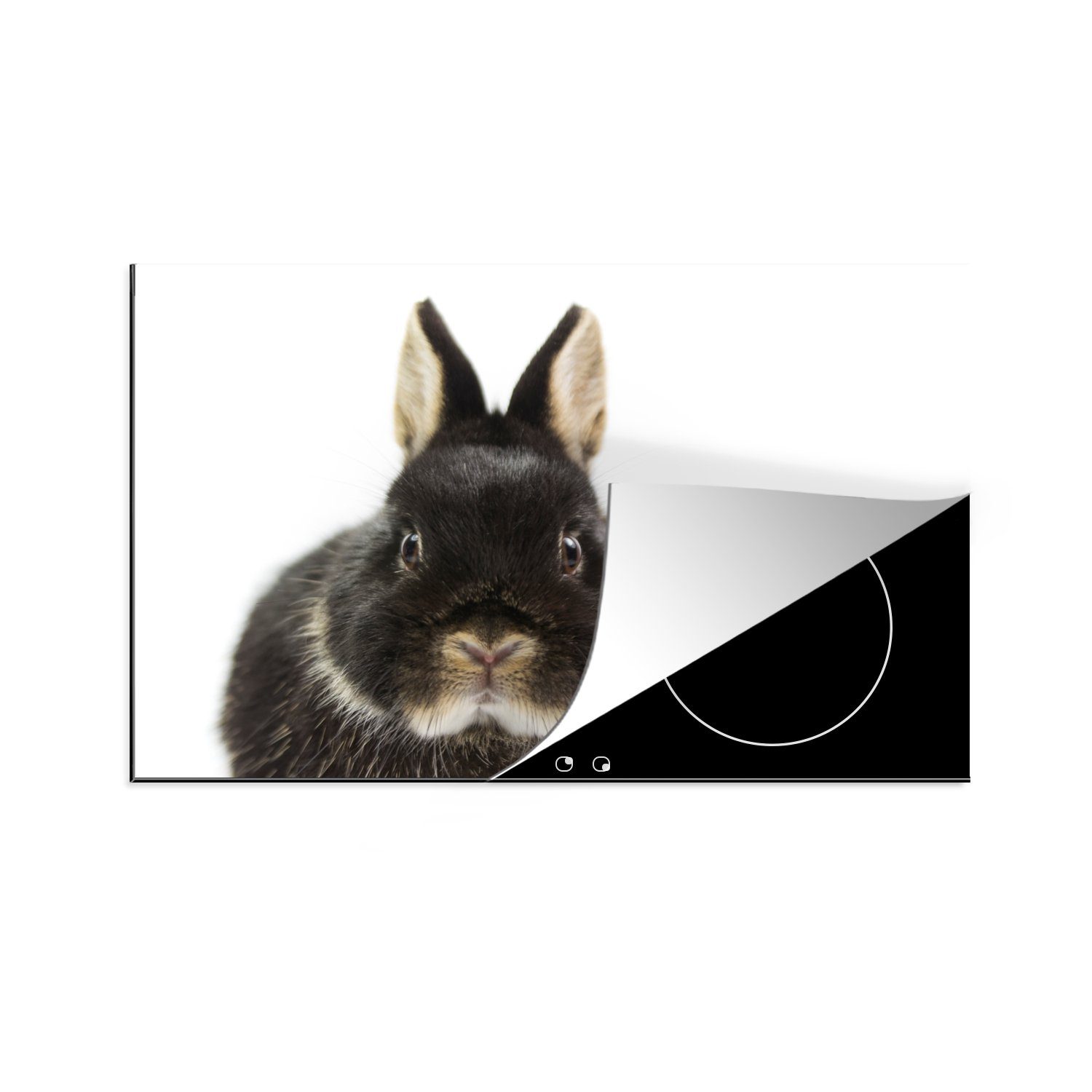MuchoWow Herdblende-/Abdeckplatte Kaninchen - Haustiere - Fell, Vinyl, (1 tlg), 81x52 cm, Induktionskochfeld Schutz für die küche, Ceranfeldabdeckung