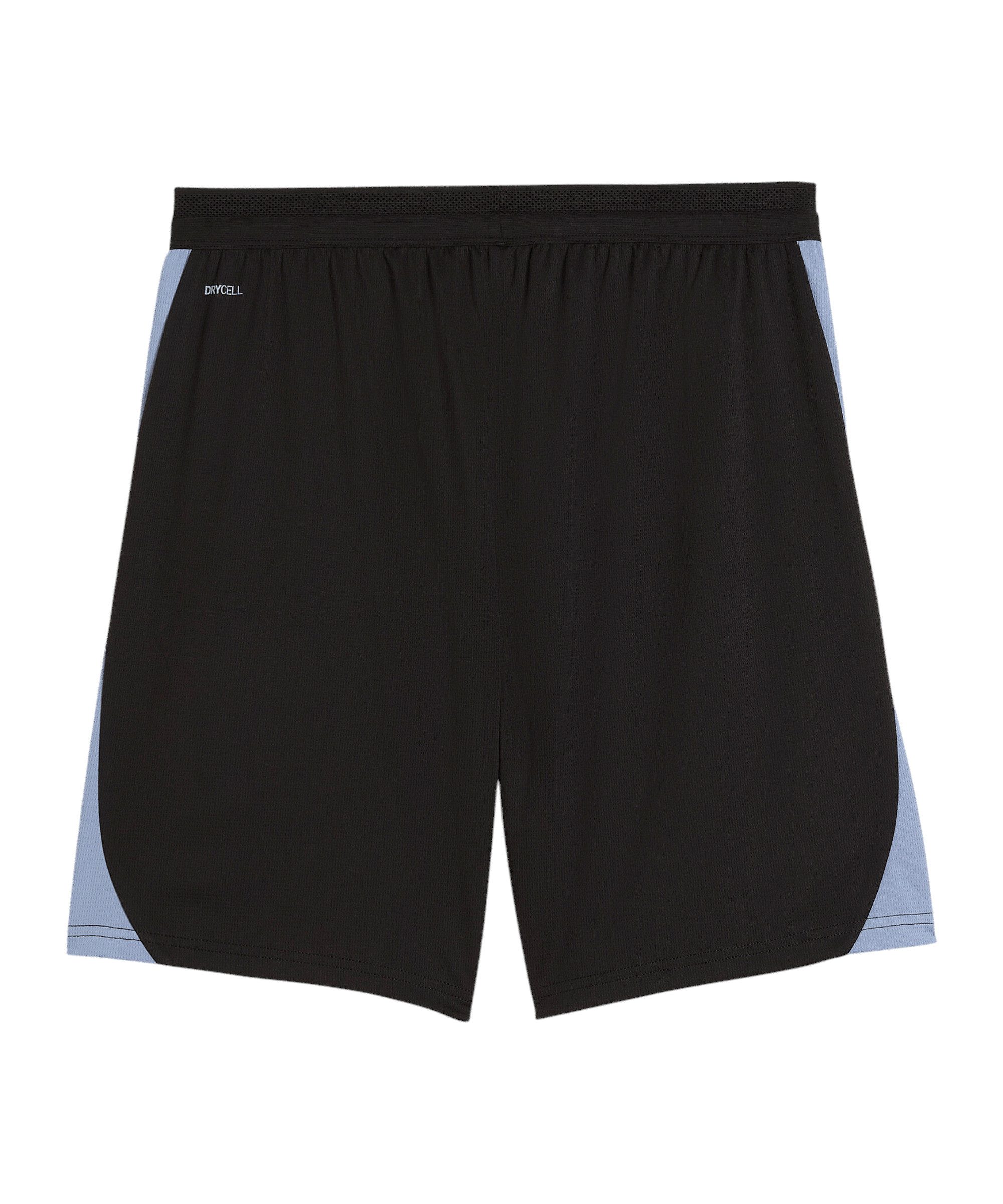 PUMA Sporthose PUMA ÖFB Österreich Training Short Shorts Herren