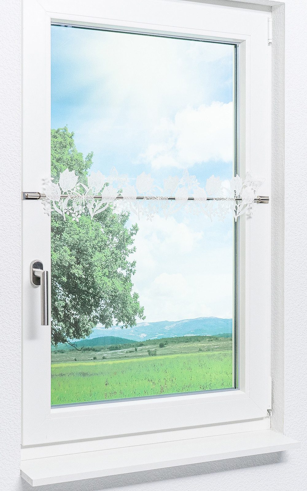 Plauener Spitze® Scheibengardine Tulpenband, (1 St), günstig online kaufen