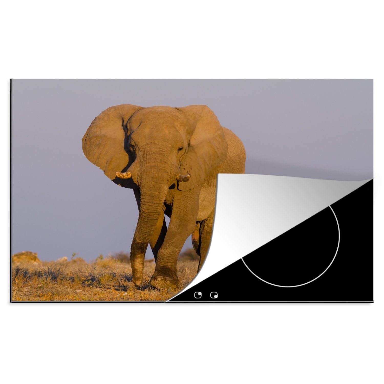 MuchoWow Herdblende-/Abdeckplatte Afrikanischer Elefant im Sand, Vinyl, (1 tlg), 81x52 cm, Induktionskochfeld Schutz für die küche, Ceranfeldabdeckung