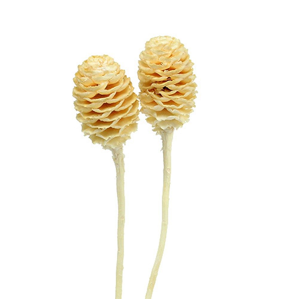 Florists Products Bastelnaturmaterial Gebleichte Sabulosum-Trockenblumen, Deko-Z