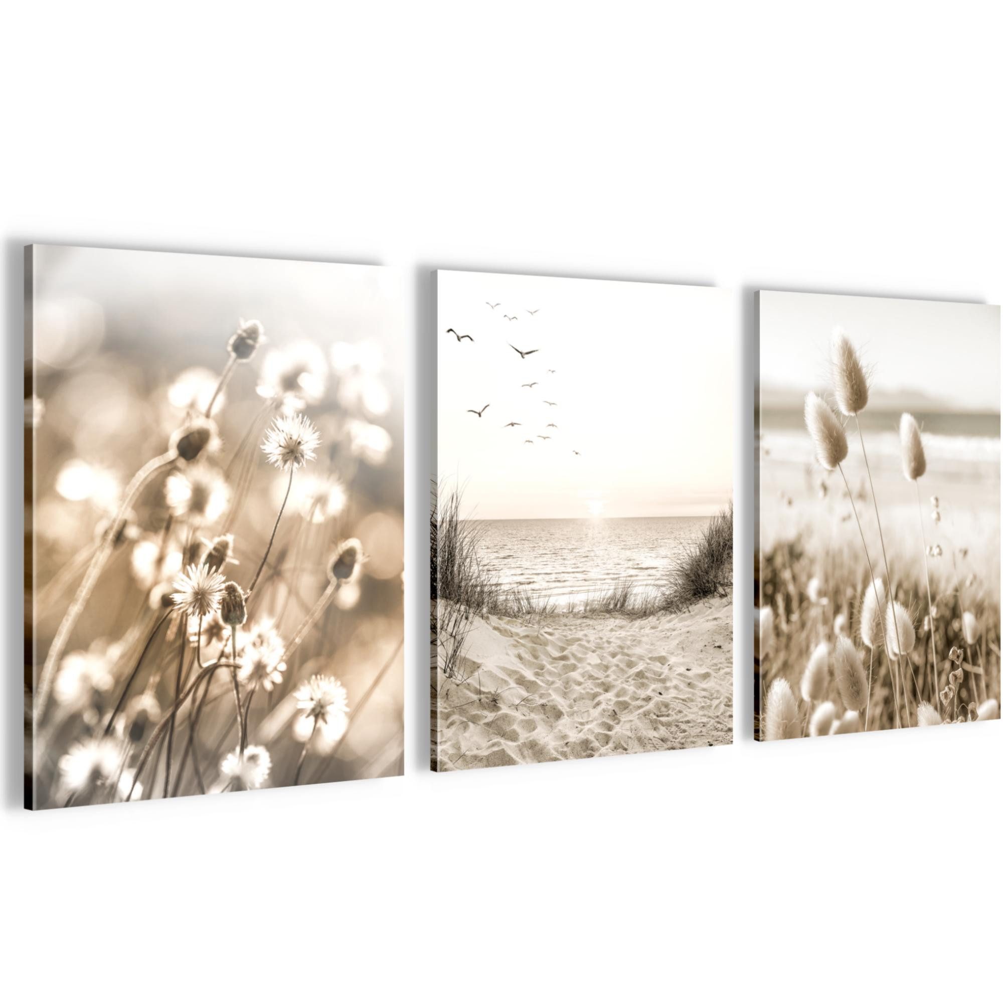 Novart Wandbild Boho Pampasgras AUFHÄNGFERTIG Flur Deko 3 Moderne Bilder N0353, 30 x 40 cm - 3 Bilder