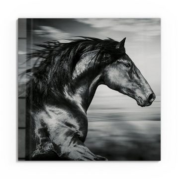 DEQORI Glasbild 'Galoppierendes Pferd', 'Galoppierendes Pferd', Glas Wandbild Bild schwebend modern