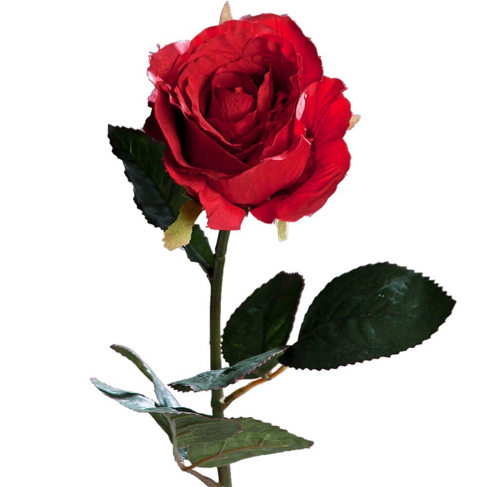 cm, Indoor Rose Stk Rosen, matches21 Kunstpflanze 51 HOBBY, HOME Kunstblume cm Stielrose & 1 dunkelrot Höhe 51 Equador