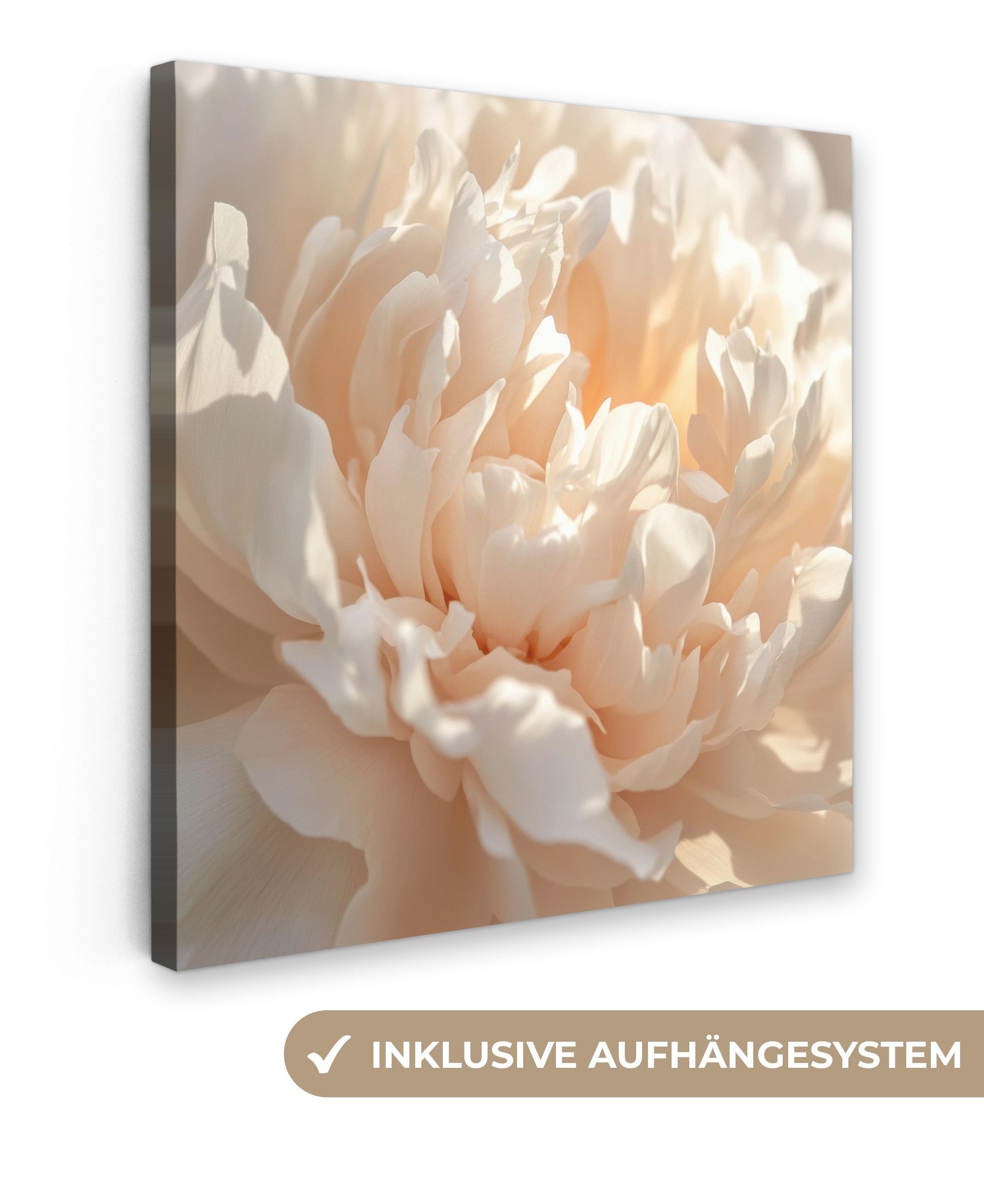 OneMillionCanvasses® Leinwandbild Nahaufnahme - Pfingstrose - Hellrosa, Fot günstig online kaufen