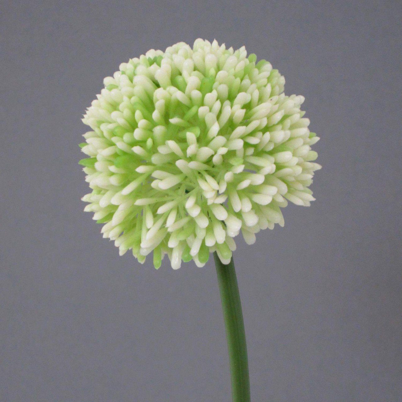 Kunstblume, Gasper, Höhe 44 cm, Weiß H:44cm D:6cm Kunststoff