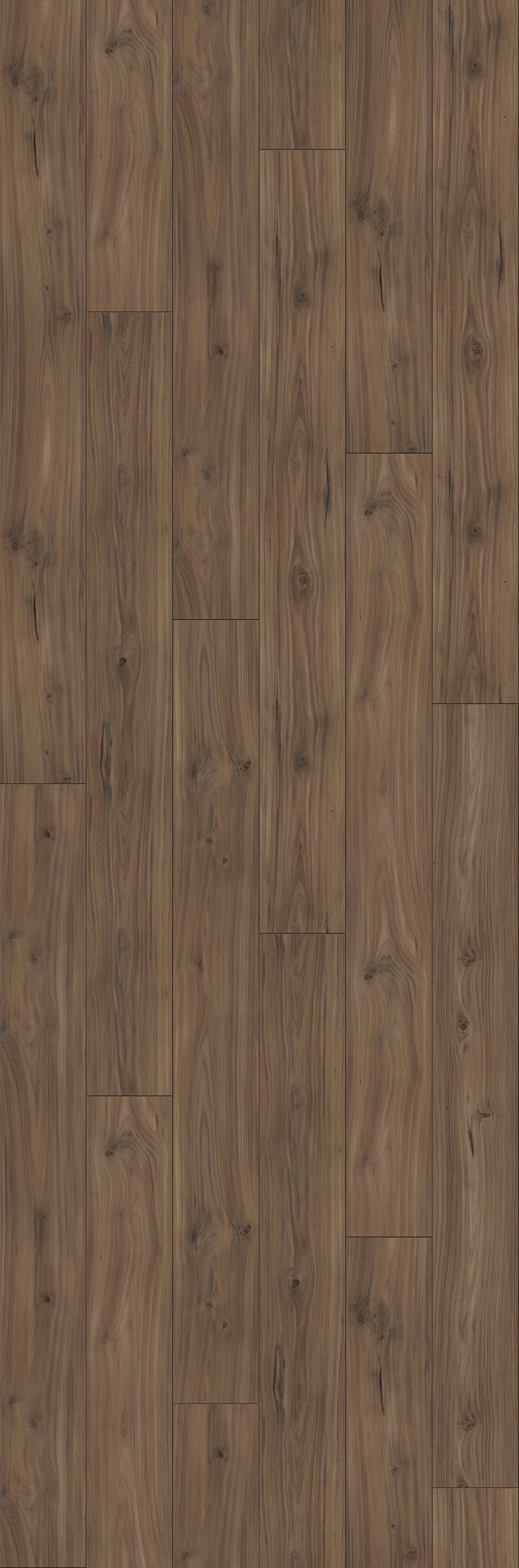 Laminat »Trendtime 6 - Nussbaum Galant«, 2200 x 243 mm, Stärke: 9 mm Laminat »Trendtime 6 - Nussbaum Galant«, 2200 x 243 mm, Stärke: 9 mm