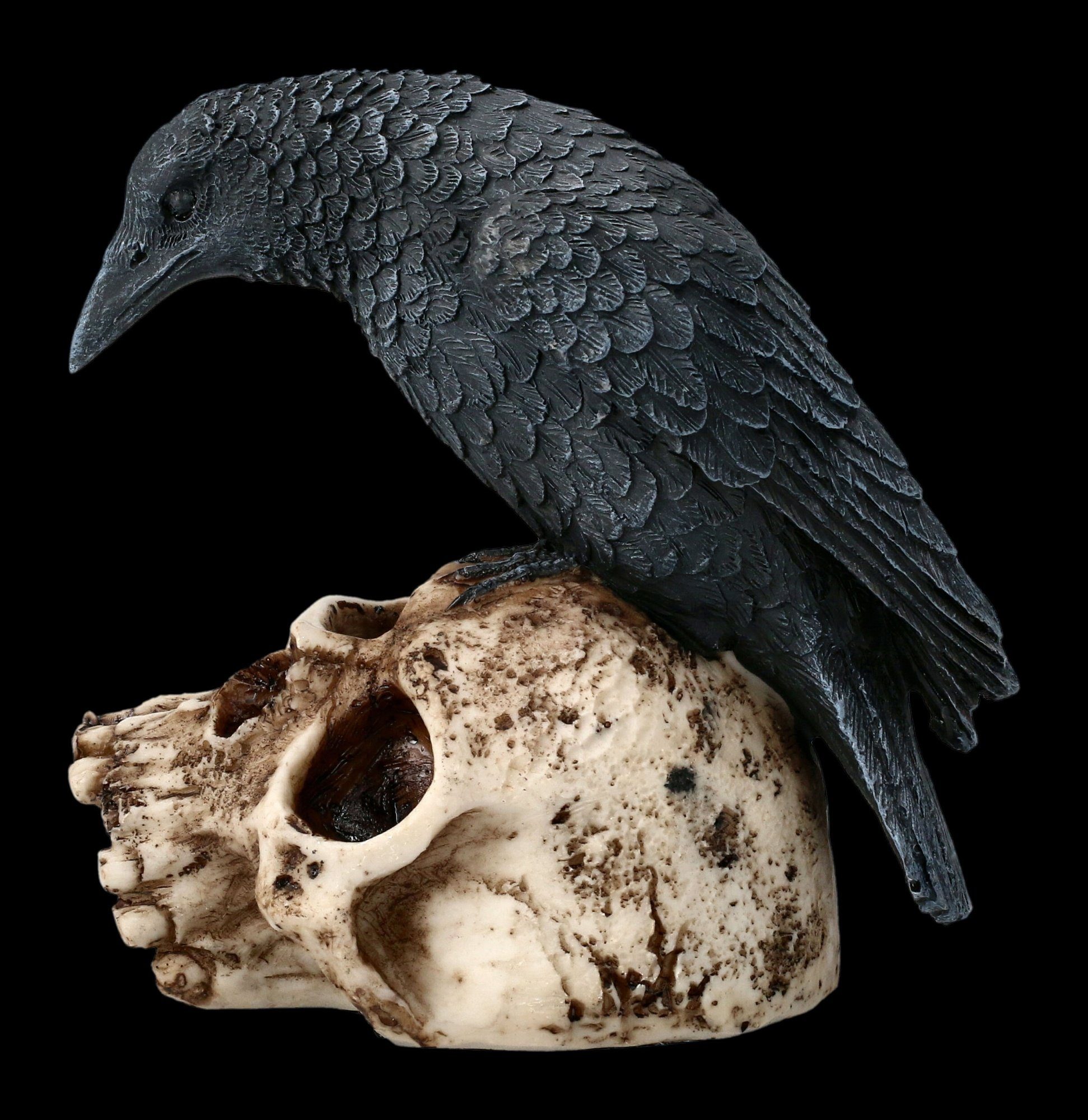 Figuren Shop GmbH Fantasy-Figur Raben Figur sitzt auf Totenkopf - Gothic Fantasy Deko