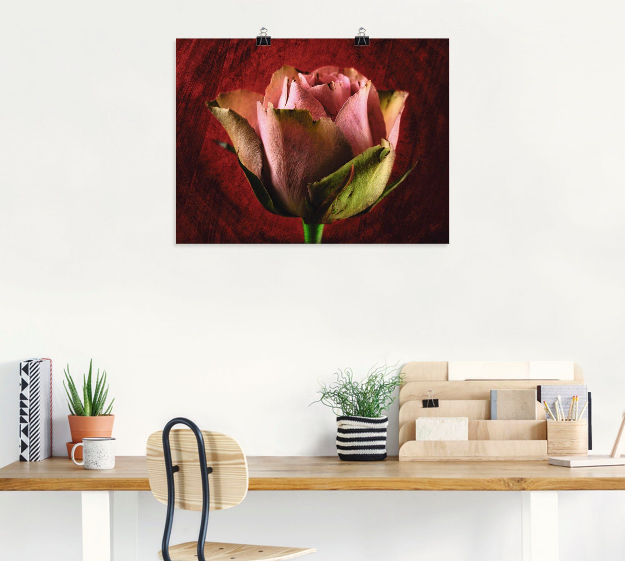 Artland Wandbild Rose, Leinwandbild, Rosa versch. oder Blumen als Poster St), Wandaufkleber Größen in (1