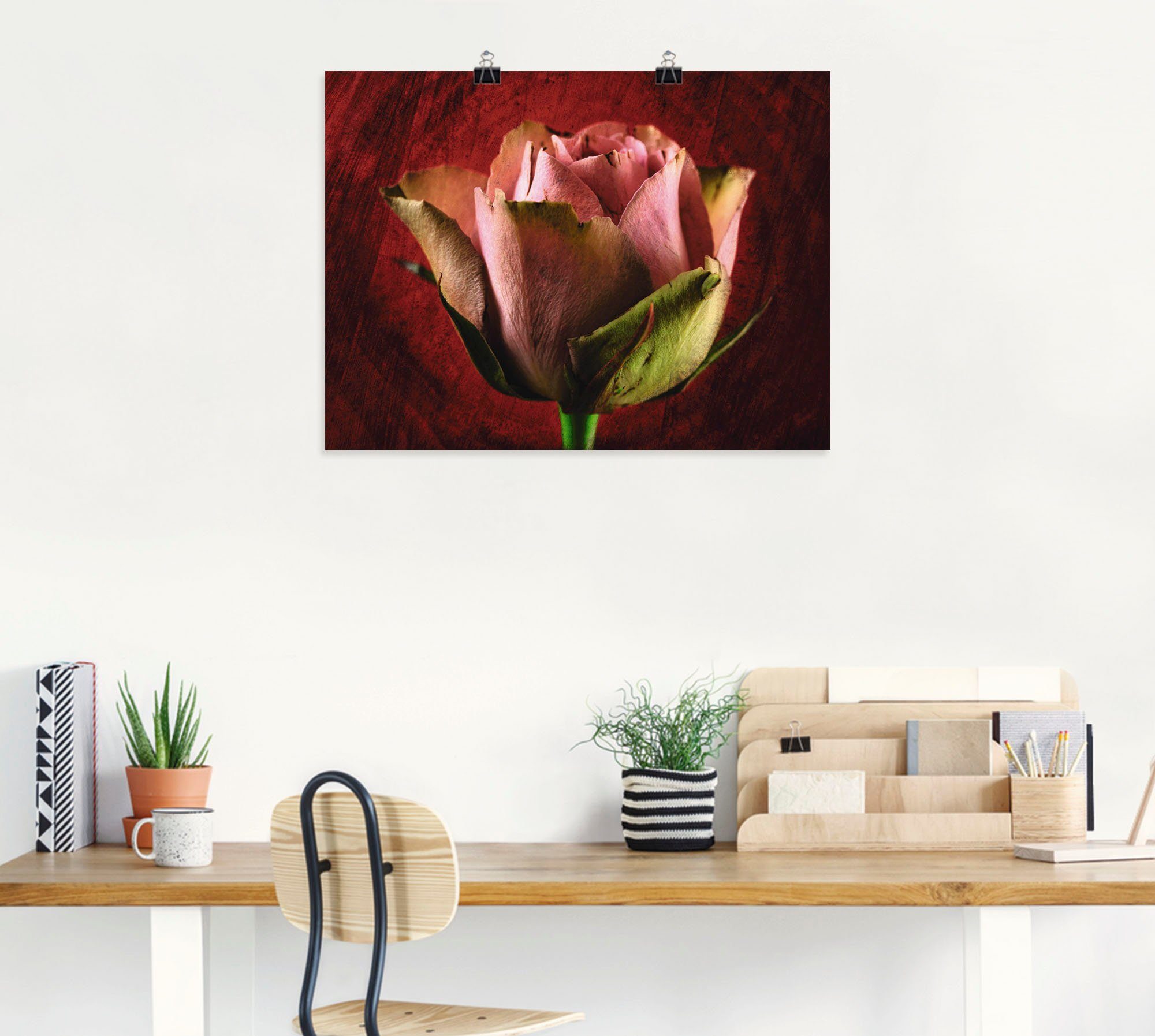 Artland Poster Rosa Rose, Blumen (1 St), ohne Rahmen