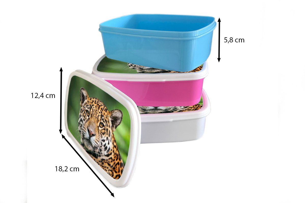 MuchoWow Kunststoff, Erwachsene, Brotdose Snackbox, rosa Lunchbox Brotbox - Kinder, (2-tlg), Natur Leopard Kunststoff Mädchen, Gefleckt, für -