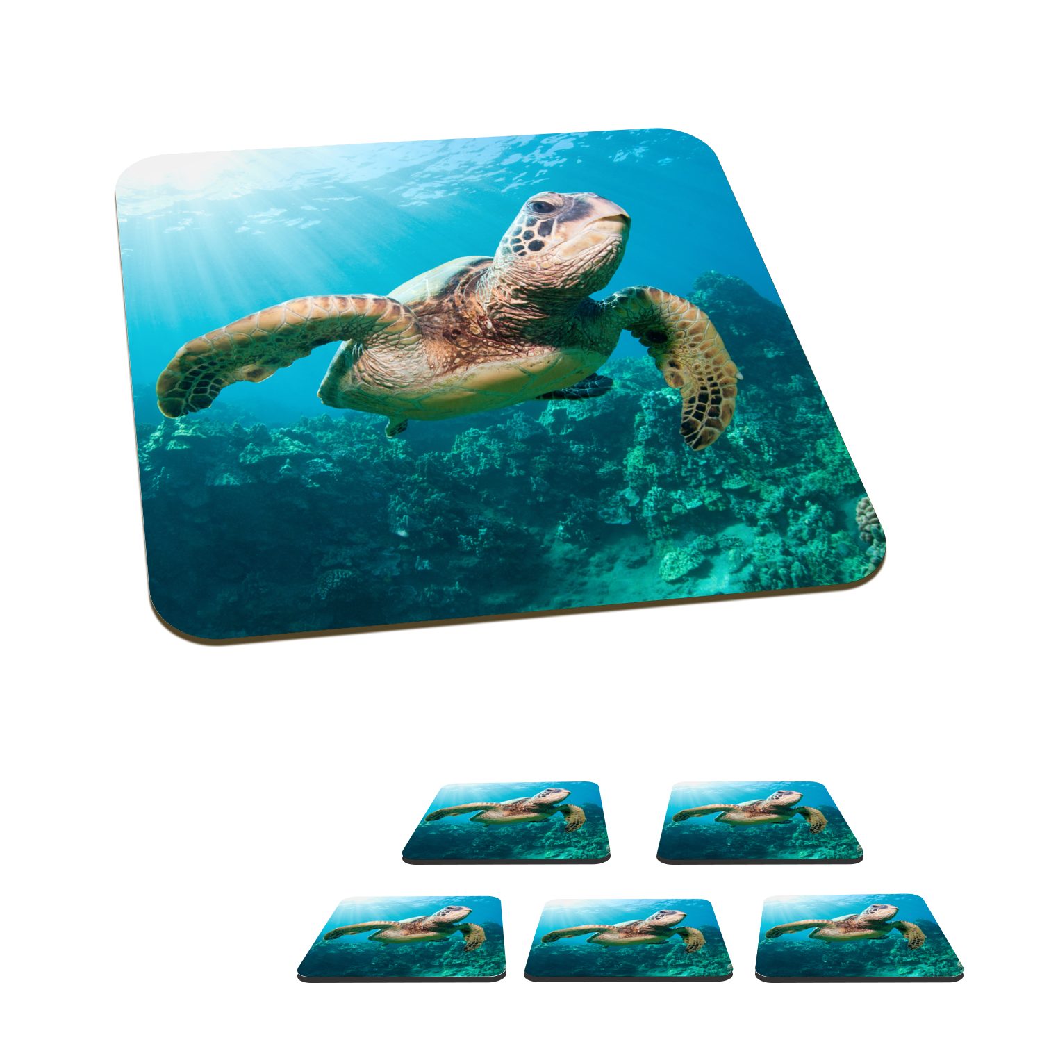 Schildkröte Gläser, Tasse Tischuntersetzer, Fotodruck, für Untersetzer, Glasuntersetzer MuchoWow Glasuntersetzer, Schwimmende Zubehör 6-tlg., Korkuntersetzer,