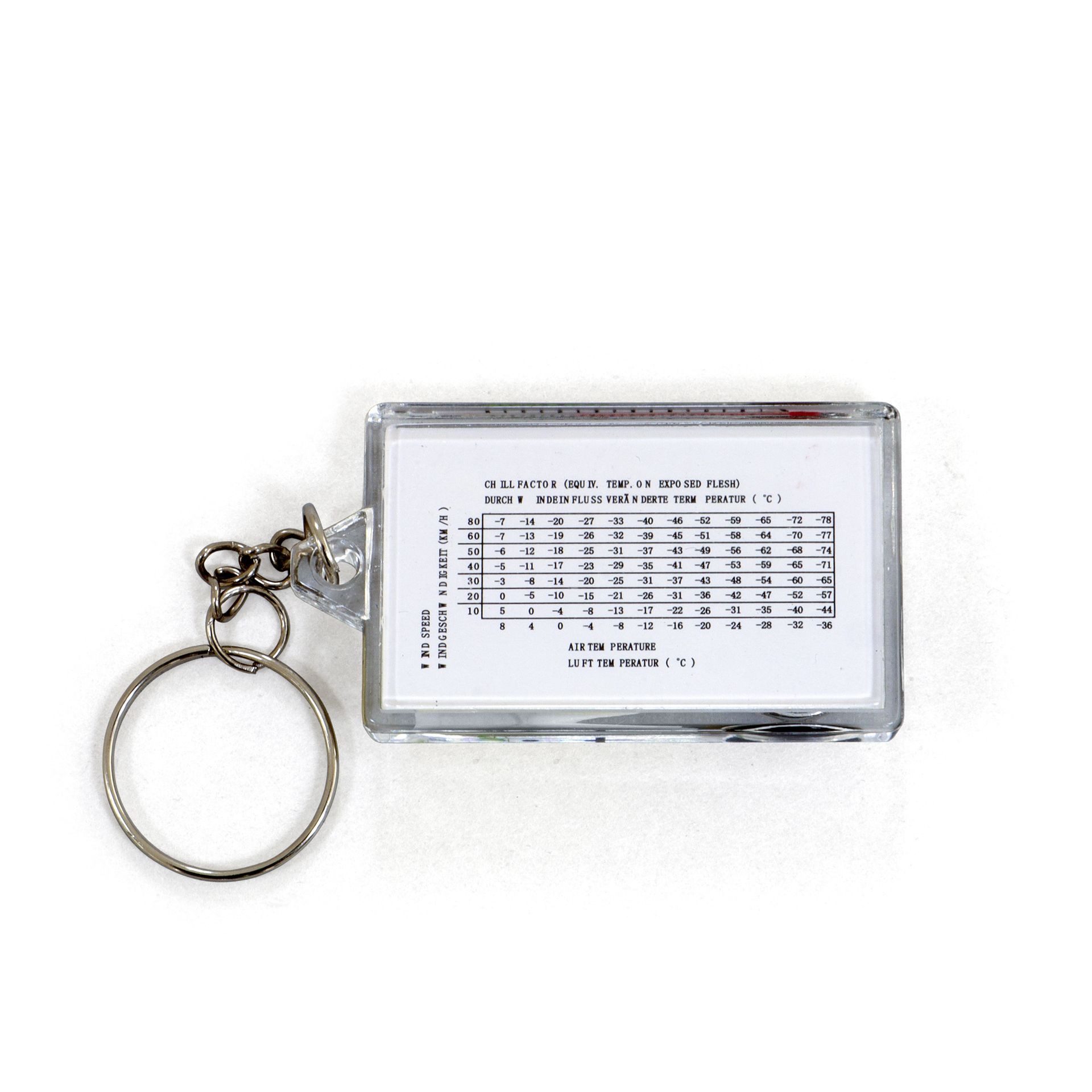 BasicNature Schlüsselanhänger Schlüsselanhänger Thermometer/Kompass günstig online kaufen