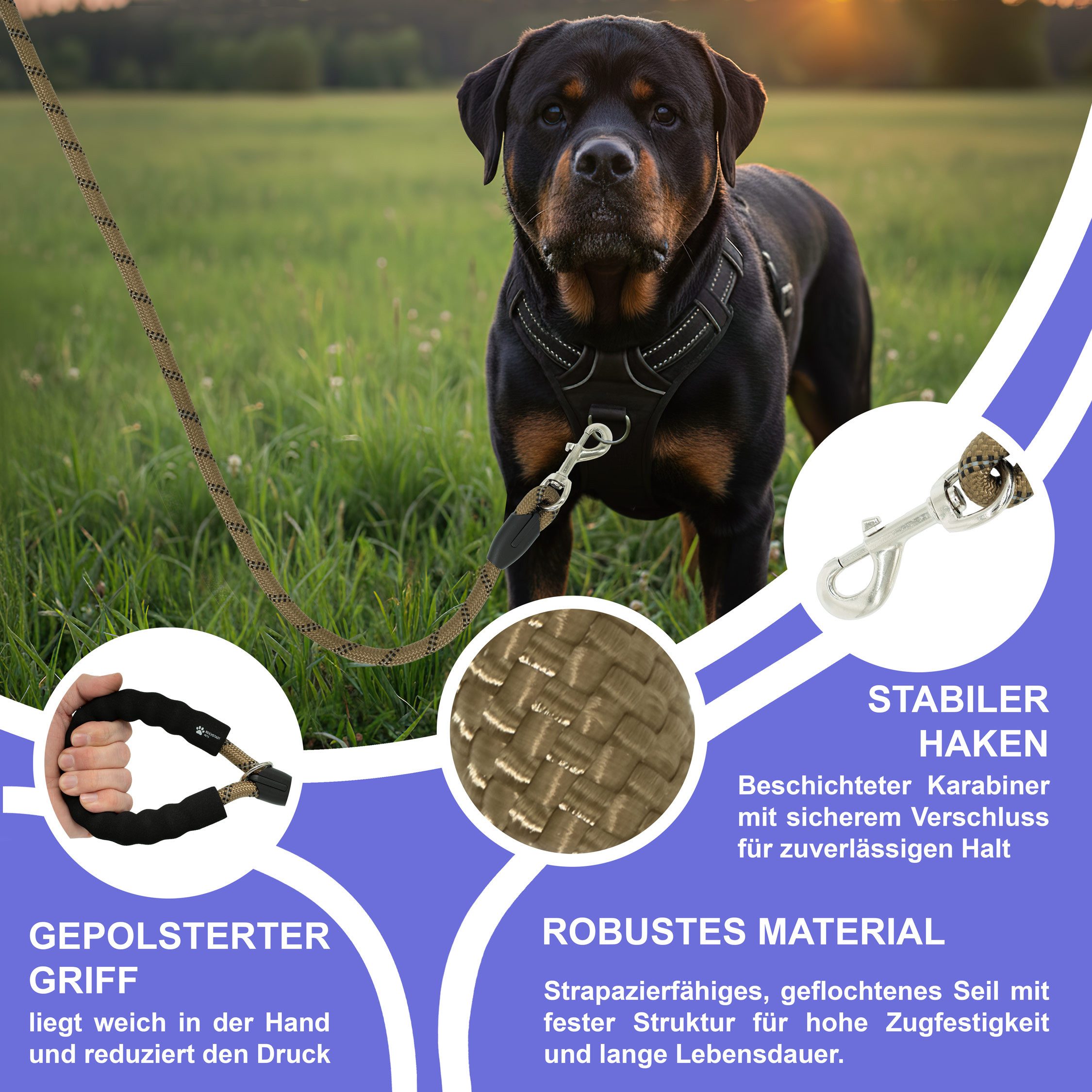 Reichstadt Hundeleine RS Pets Führleine Nylon 25RSP084, Nylon, Ergonomischer EVA-gepolsterter Griff für Blasenschutz