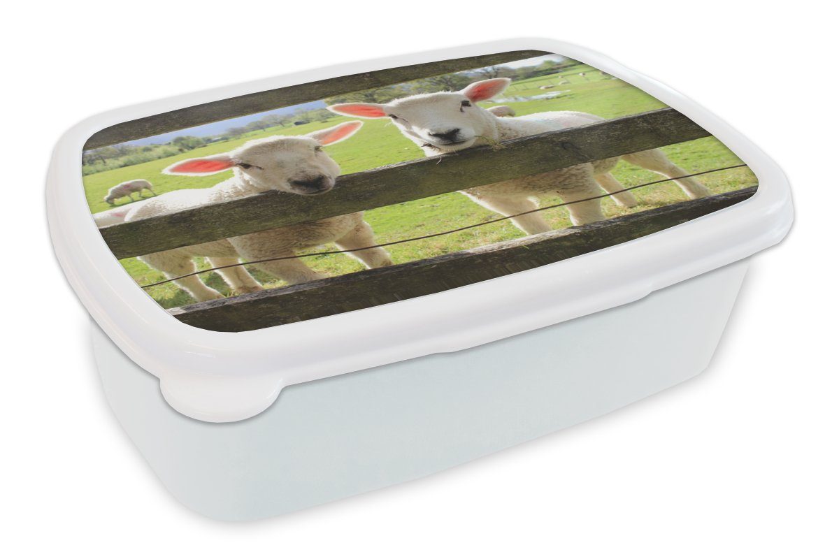 MuchoWow Lunchbox Schafe - Tiere - Bauernhof, Kunststoff, (2-tlg), Brotbox für Kinder und Erwachsene, Brotdose, für Jungs und Mädchen weiß